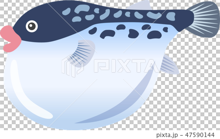 河豚魚 47590144