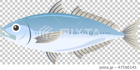 Horse mackerel	 47590145