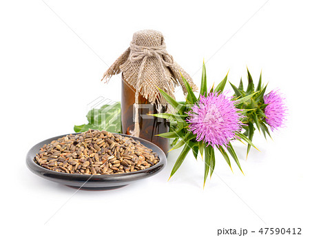 Milk thistle oil with flowers and seeds. 47590412