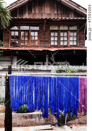 Sericulture Thai silk thread haging dry on rack 47591004