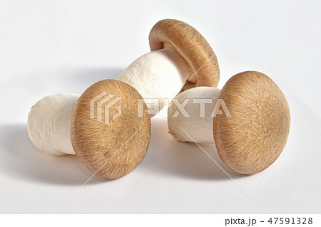 きのこ（大黒本しめじ） 47591328