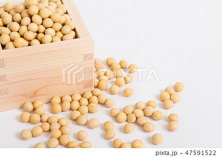 大豆 47591522