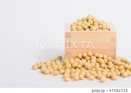 大豆 大豆 47591533