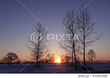 冬の夜明け 47591986
