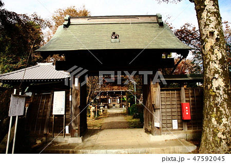 大圓寺、山門、東久留米、天台宗 大圓寺、山門、東久留米、天台宗 47592045