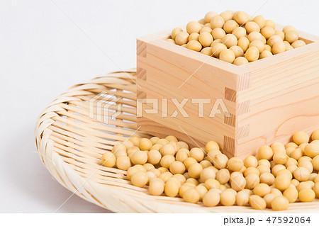 大豆 大豆 47592064