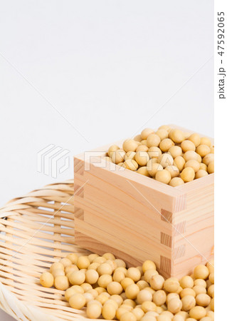 大豆 大豆 47592065