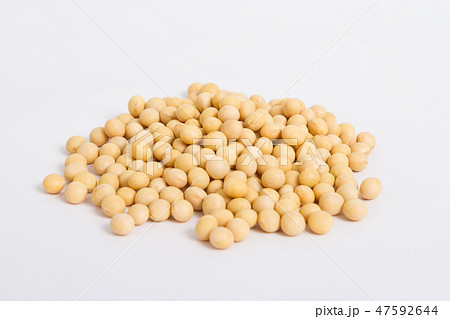 大豆 大豆 47592644