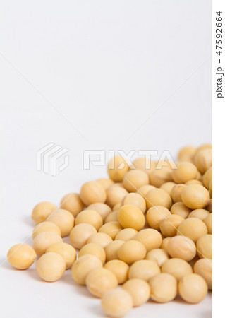 大豆 47592664
