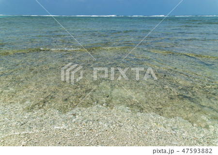 黒島(沖縄)の透明度の高い海 47593882