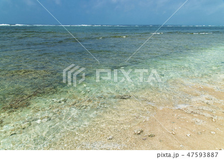 黒島(沖縄)の透明度の高い海 47593887