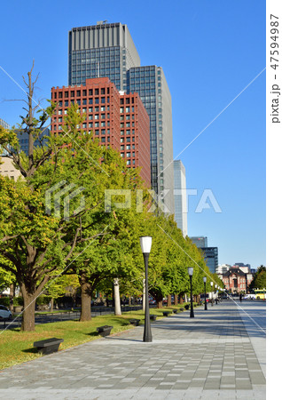 東京都千代田区の行幸通り（東京都道404号）を、内堀通りとの交差点側から東京駅に向かって撮影した写真 47594987