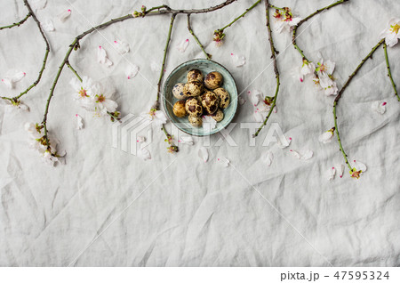 Easter flat-lay with quail eggs and almond tree 47595324
