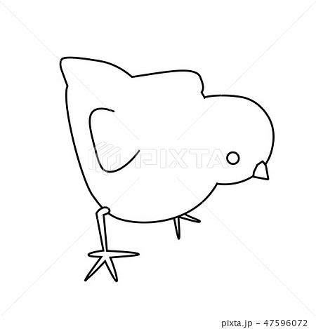 Black and white vector little easter chick 47596072