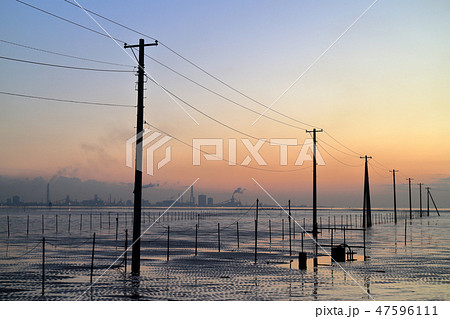久津間海岸の海中電柱(木更津市) 久津間海岸の海中電柱(木更津市) 47596111