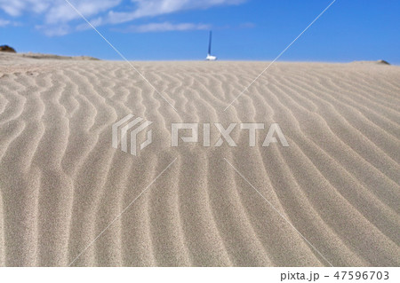 【静岡県】浜岡砂丘（風紋） 47596703