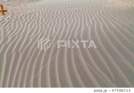 【静岡県】浜岡砂丘（風紋） 47596713