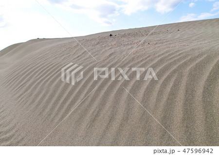 【静岡県】浜岡砂丘(風紋) 【静岡県】浜岡砂丘(風紋) 47596942