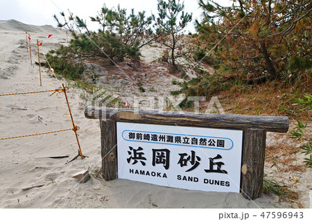 【静岡県】浜岡砂丘 御前崎遠州灘県立自然公園 47596943