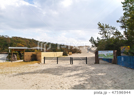 【静岡県】浜岡砂丘 御前崎遠州灘県立自然公園 47596944