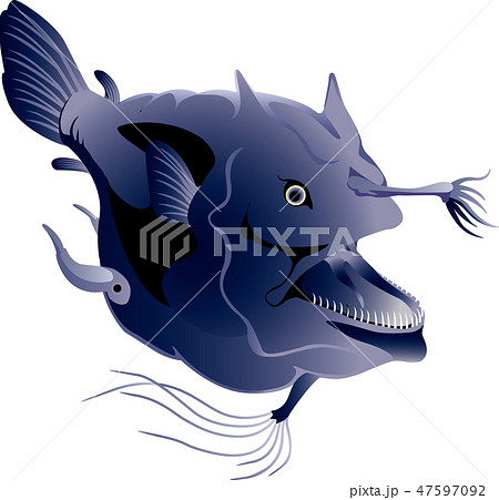 オニアンコウ オニアンコウ 47597092