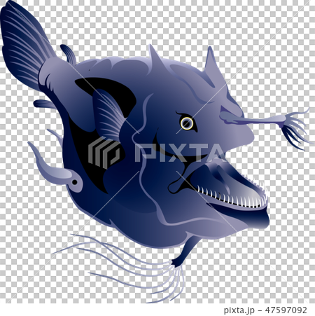 オニアンコウ オニアンコウ 47597092