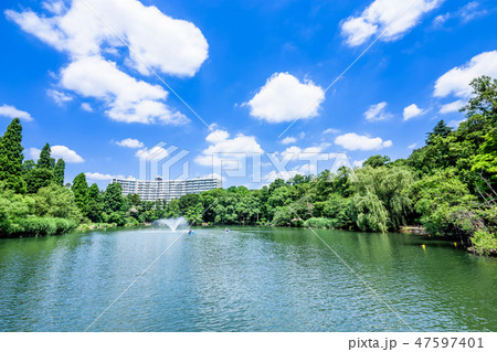 東京　井の頭公園の風景 47597401