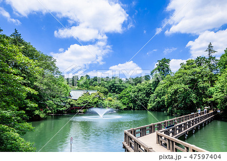 東京 井の頭公園の風景 東京 井の頭公園の風景 47597404
