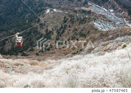 仁田峠の霧氷１ 47597465