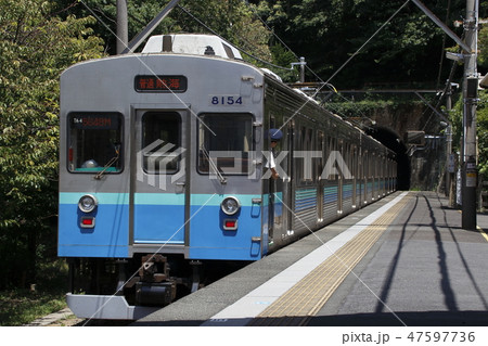 ［IZ］伊豆急行線8000系電車 47597736