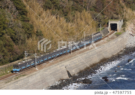 海岸沿いを行く伊豆急8000系 海岸沿いを行く伊豆急8000系 47597755
