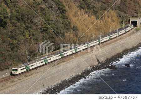 海岸沿いを行く、185系電車使用の特急踊り子 47597757