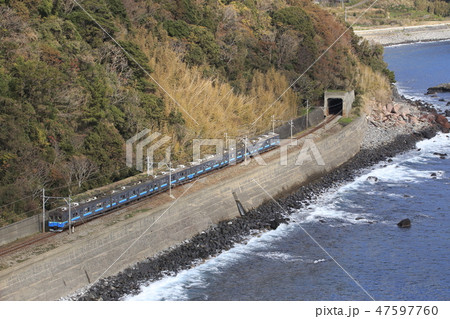 海岸沿いを行く伊豆急8000系 海岸沿いを行く伊豆急8000系 47597760