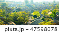 楽安邑城 秒 村 47598078