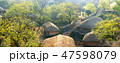 楽安邑城 秒 村 47598079