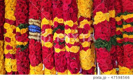 Indian colorful flower on street market 47598566