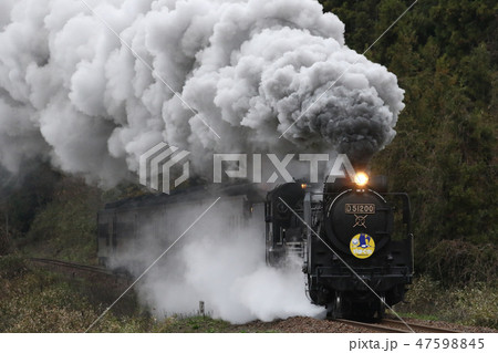 D51蒸気機関車牽引SLやまぐち号 D51蒸気機関車牽引SLやまぐち号 47598845