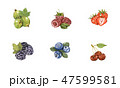 Watercolor hand drawn berry set isolated on white. 47599581