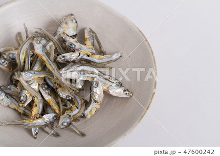 煮干し 煮干し 47600242