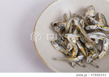 煮干し 47600243