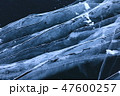 糠平湖に出来たクラック 47600257