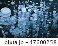 糠平湖のアイスバブル01 47600258