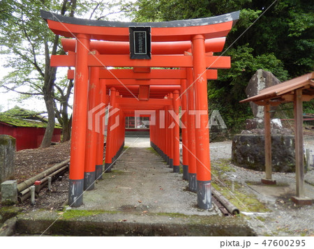 今山八坂稲荷神社鳥居 47600295