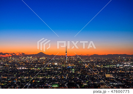 《日本の絶景》東京の夜景・スカイツリーを望む 《日本の絶景》東京の夜景・スカイツリーを望む 47600775