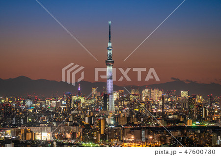 《日本の絶景》東京の夜景・スカイツリーを望む 《日本の絶景》東京の夜景・スカイツリーを望む 47600780