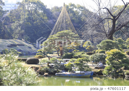 清澄庭園　雪つりのある風景　東京都江東区 47601117