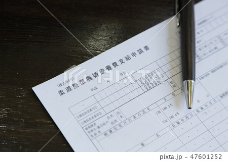 柔道整復施術療養費支給申請書 47601252