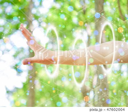 グラフィカルイメージ 47602004