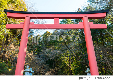 香取神宮 朱塗りの大鳥居 (千葉県香取市) 2019年1月現在 香取神宮 朱塗りの大鳥居 (千葉県香取市) 2019年1月現在 47603222