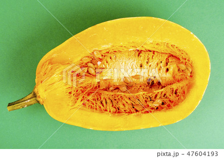 Half of pumpkin on yellow green paper Half of pumpkin on yellow green paper 47604193